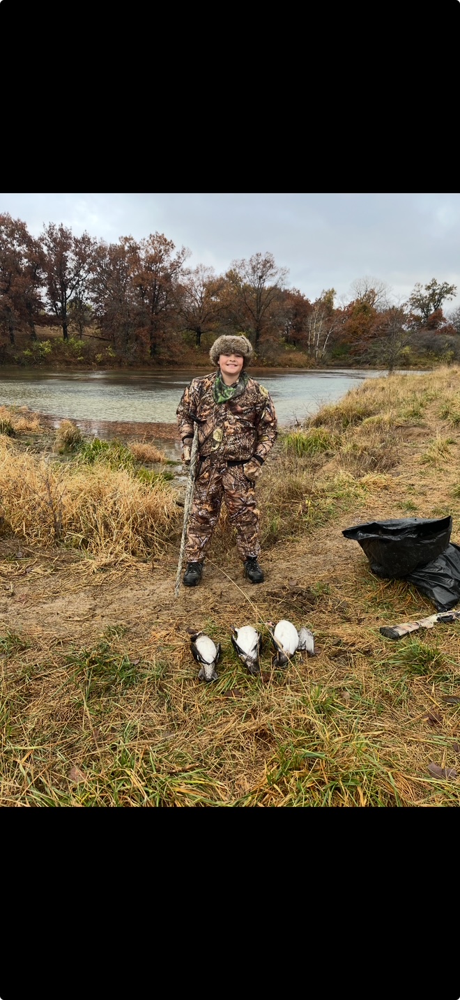ducks